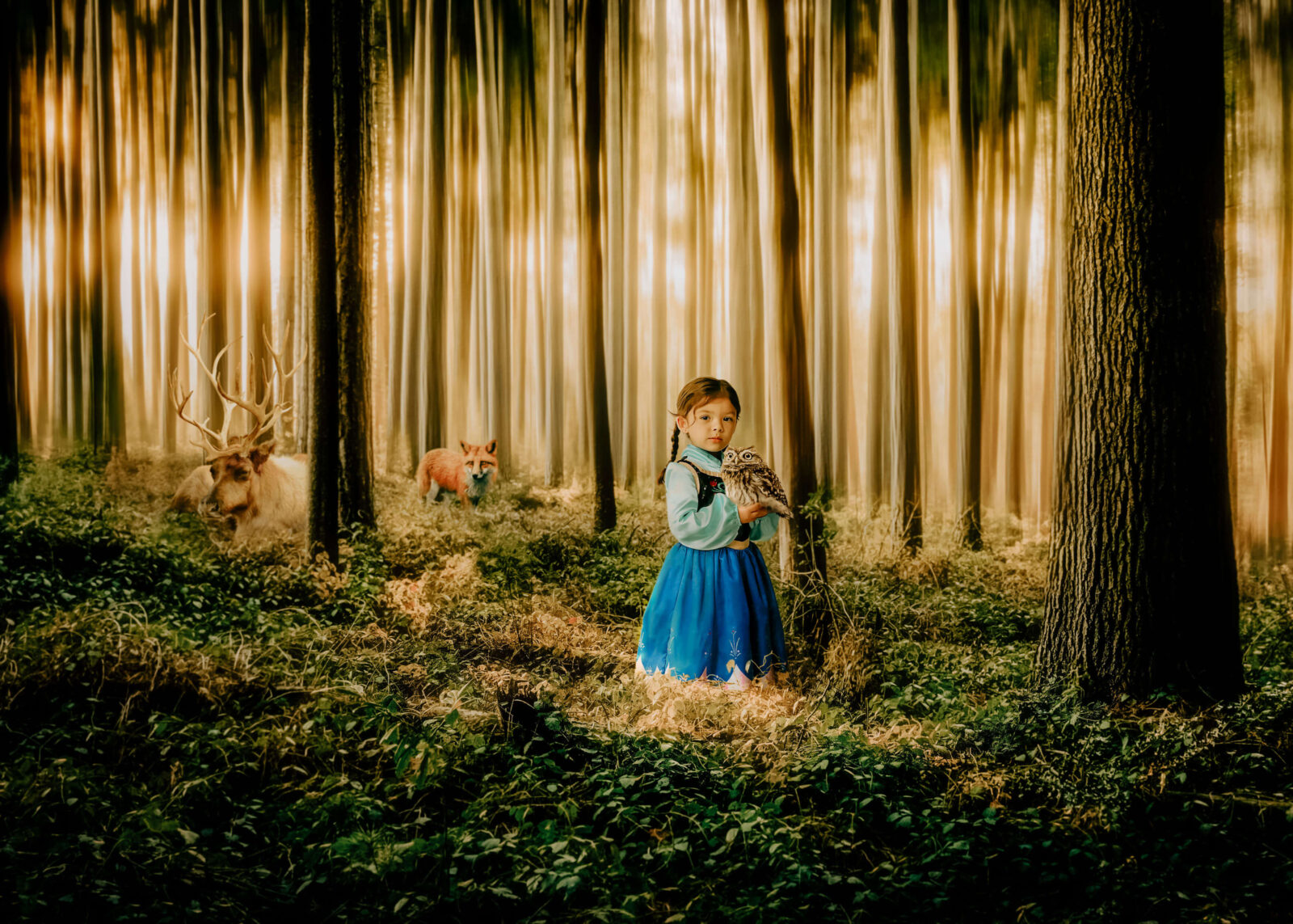 Wichita portrait artist photo of a little girl dressed as Anna from Frozen in a forest with animals