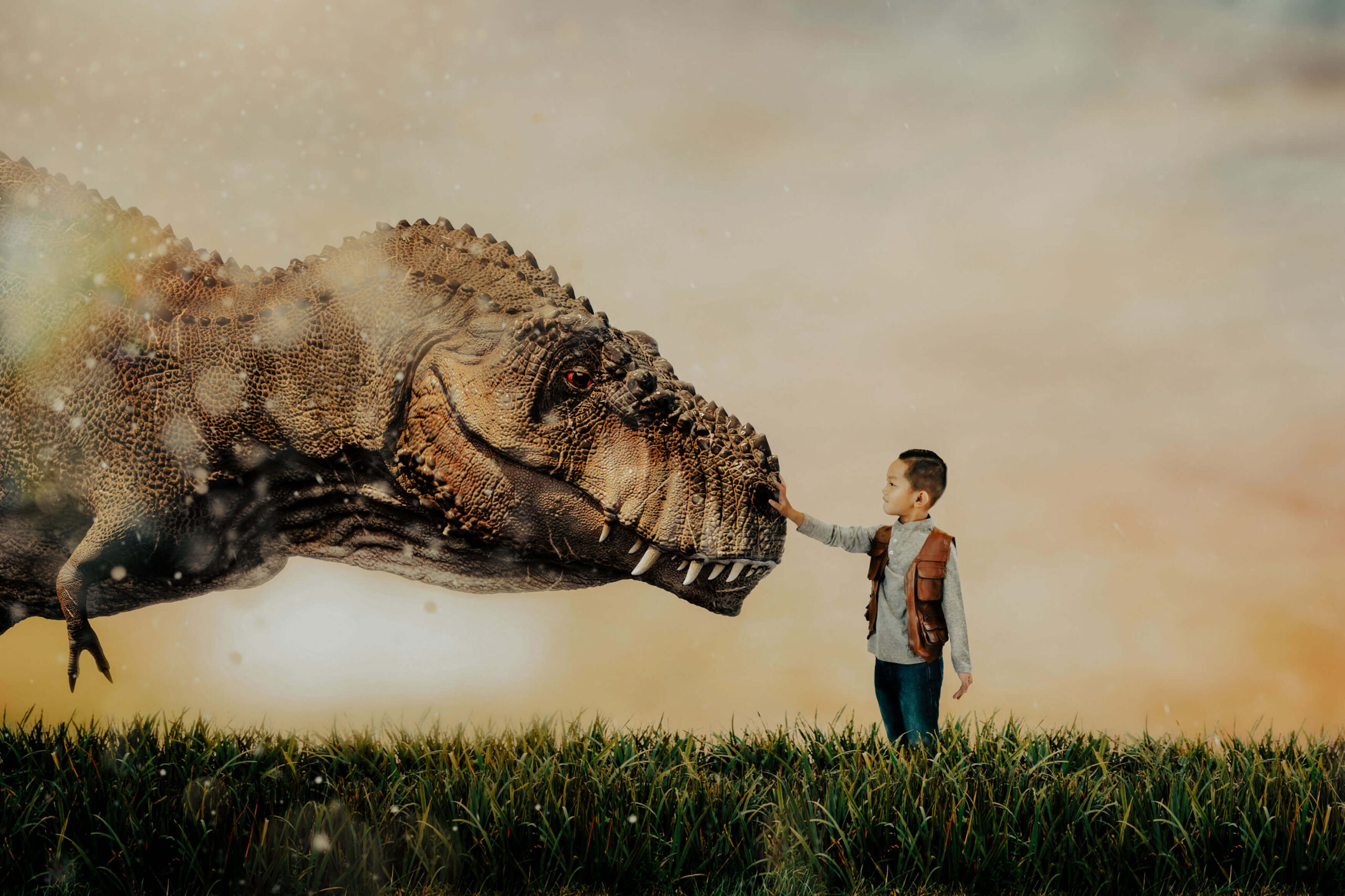 Imagination session with Broom Tree Photo, Wichita KS Photographer, of a little boy touching a t-rex